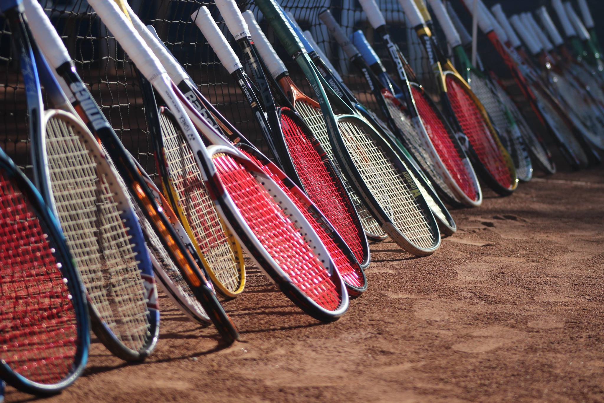Não erre na escolha das cordas para sua raquete! - Vacchi Sports
